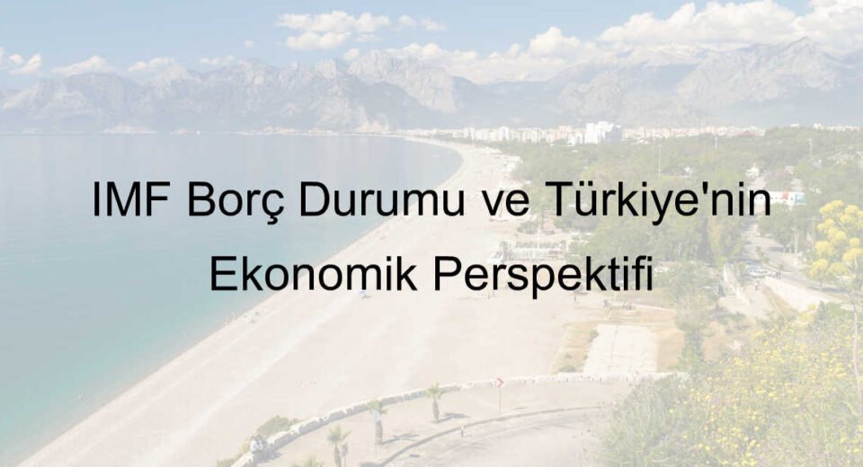 imf borç durumu